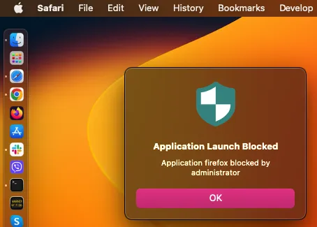 A screenshot of a computer Description automatically generated