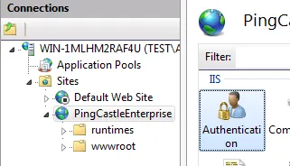 IIS Authentication Option